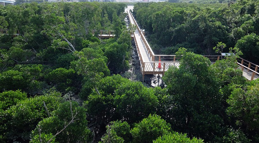 🌊 만코 물새・습지 센터 이미지 8